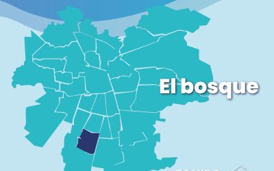 Equipo médico en casa El Bosque, Santiago Sur.